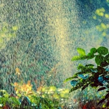 Automatische Bewässerungssysteme von Bangert Garten- und Landschaftsbau