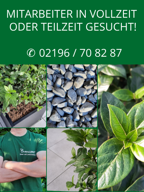 Bangert Galabau - Mitarbeiter gesucht - Jetzt bewerben